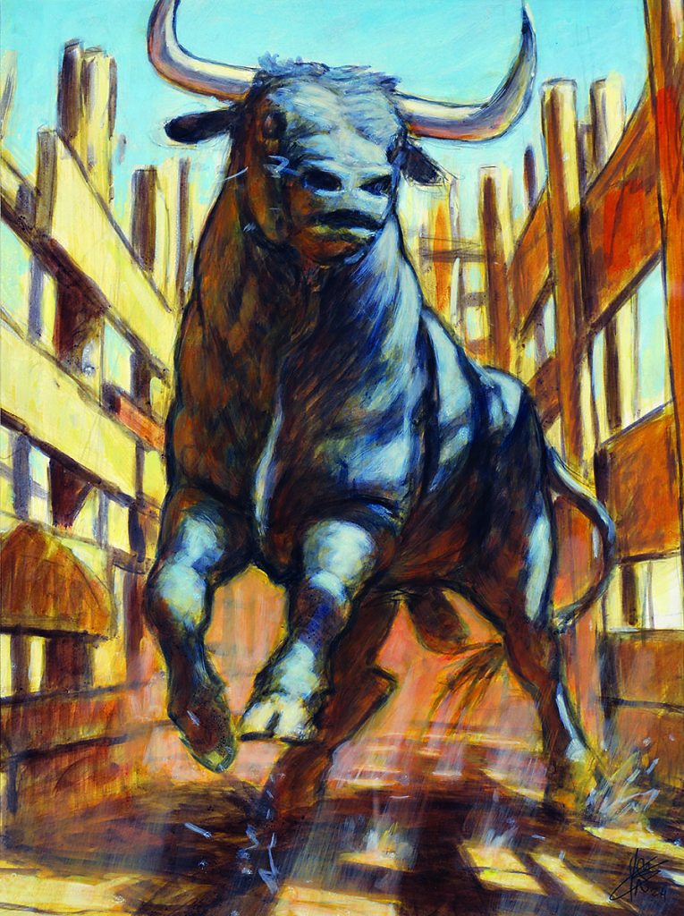 Toro 30X40 - 2024